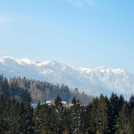 Vintage Home Sinaia Buitenkant foto