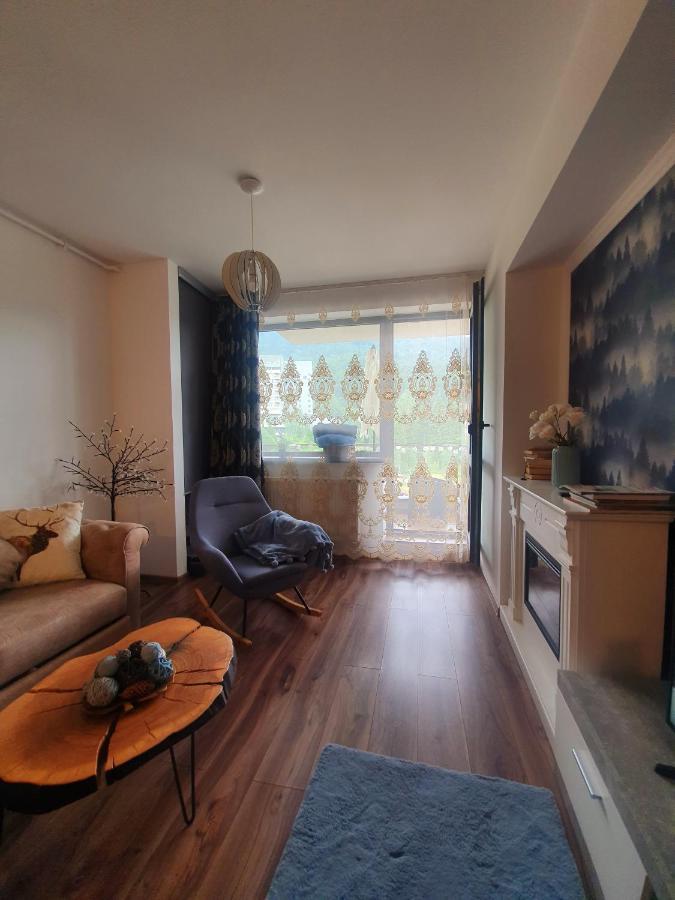 Vintage Home Sinaia Buitenkant foto