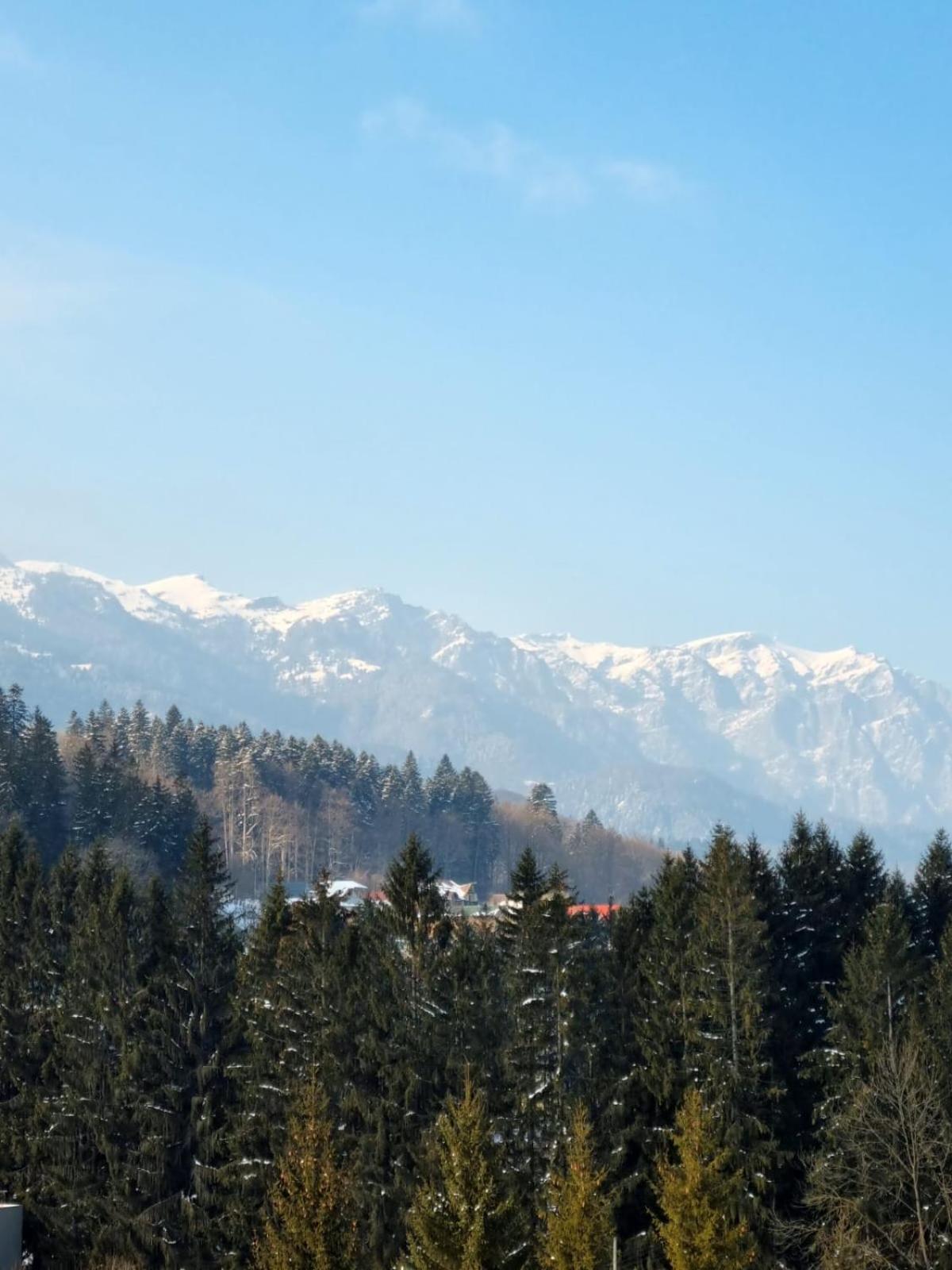 Vintage Home Sinaia Buitenkant foto